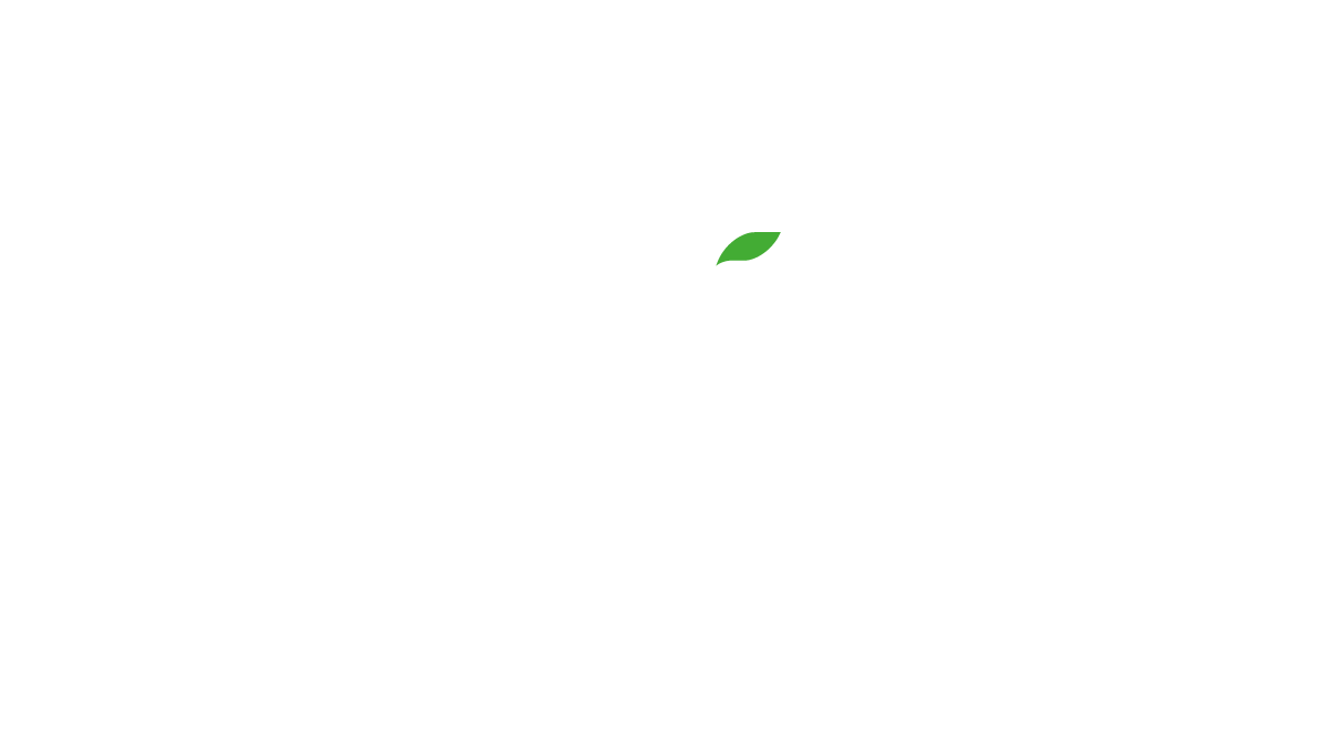 T-Pizza